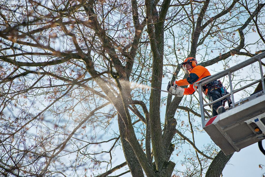 бензопила STIHL для заготівлі дров та роботи в господарстві